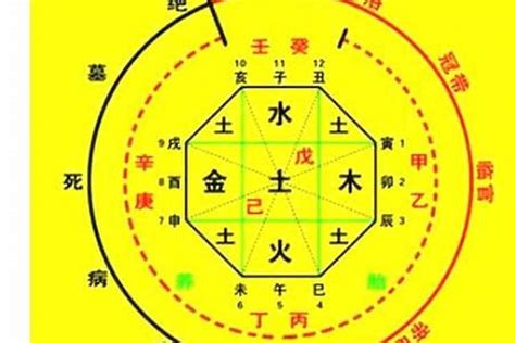 查出生年月日時|生辰八字算命、五行喜用神查询（免费测算）